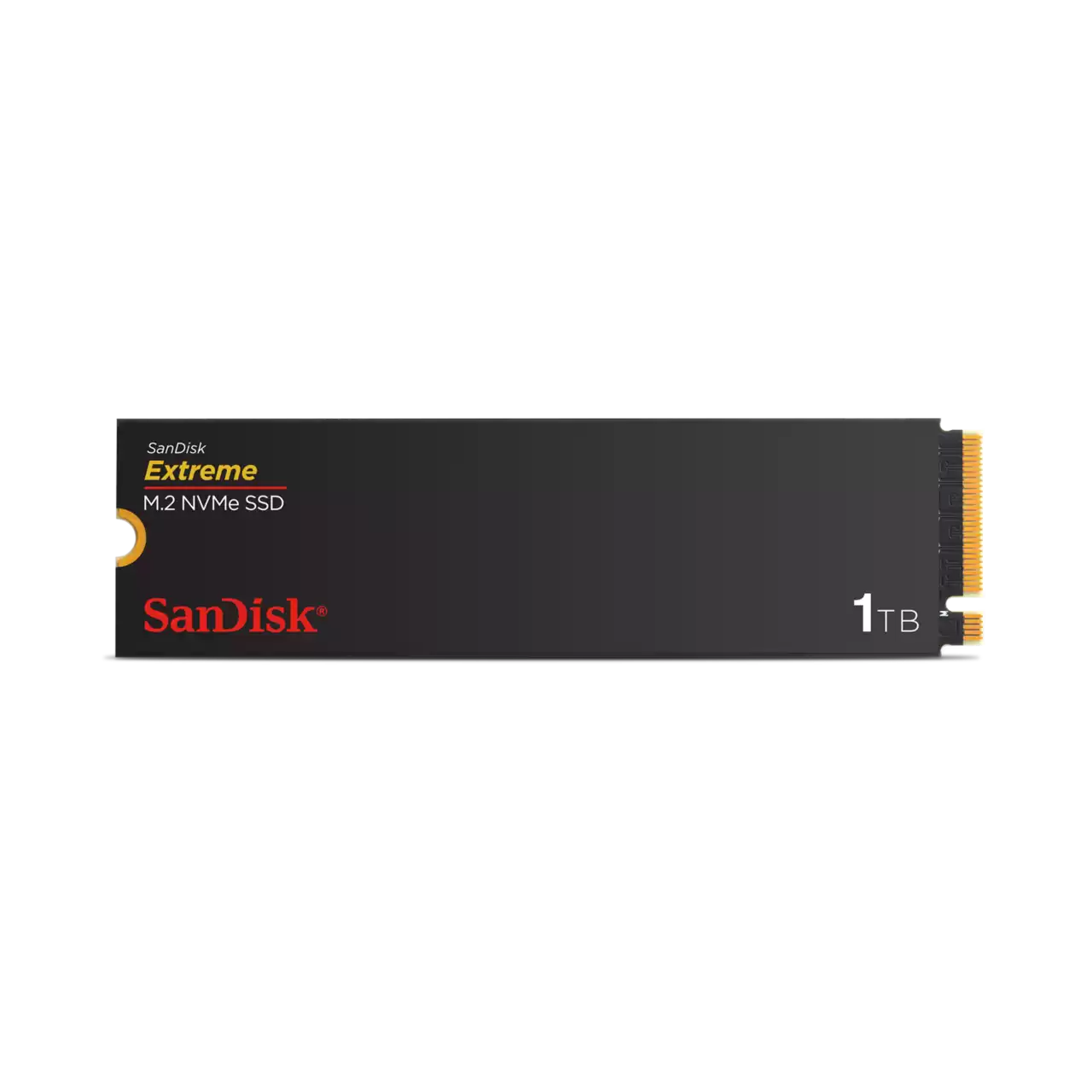 SanDisk Extreme 1TB